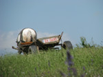 40-IMG_0483_kogda uezzhaesh.jpg